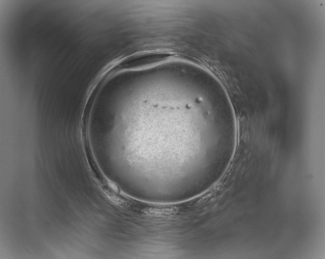 X0000070880147200606161211