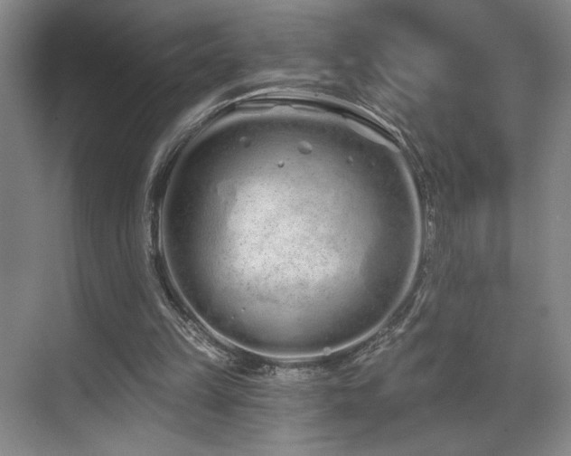 X0000070880149200606161211