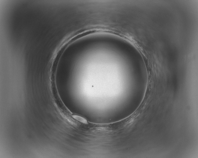 X0000070880151200606161211