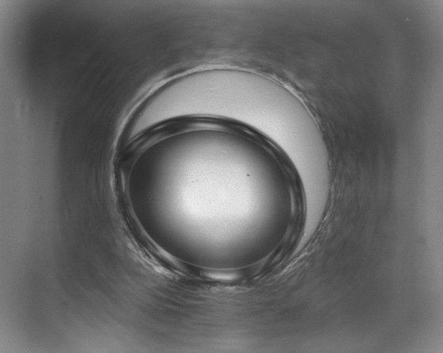 X0000070880152200606161211