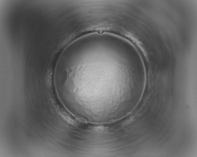 X0000070880153200606161212