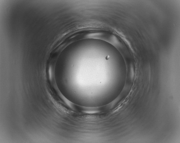 X0000070880154200606161212