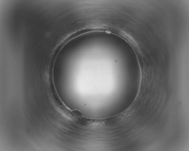 X0000070880155200606161212