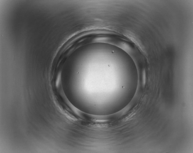 X0000070880156200606161212