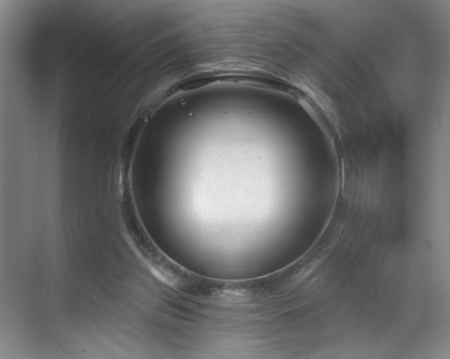 X0000070880157200606161212