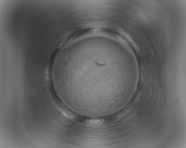 X0000070880161200606161212