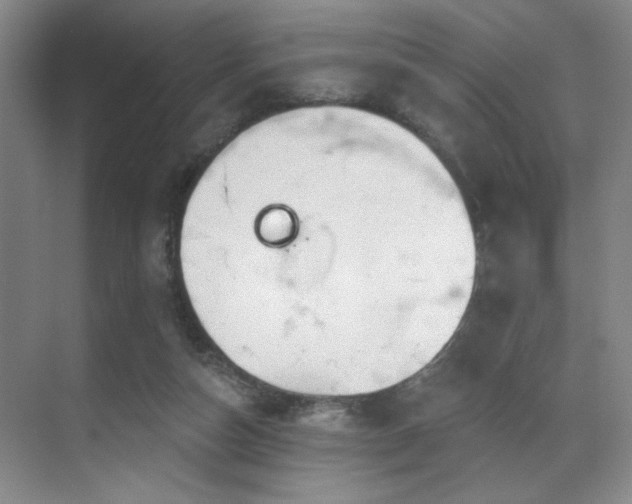 X0000070880162200606161212