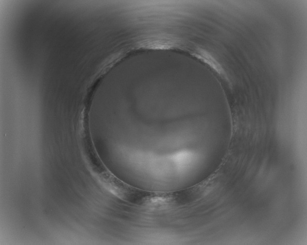 X0000070880163200606161212