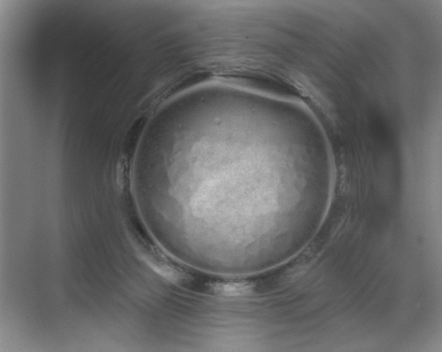 X0000070880165200606161212