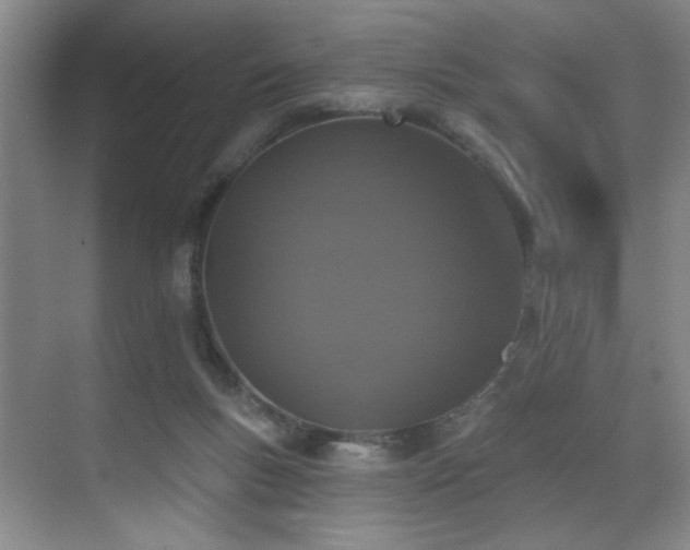 X0000070880167200606161212