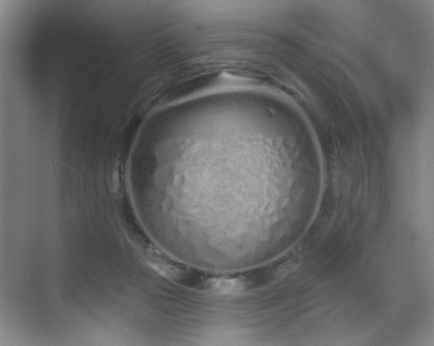 X0000070880169200606161212