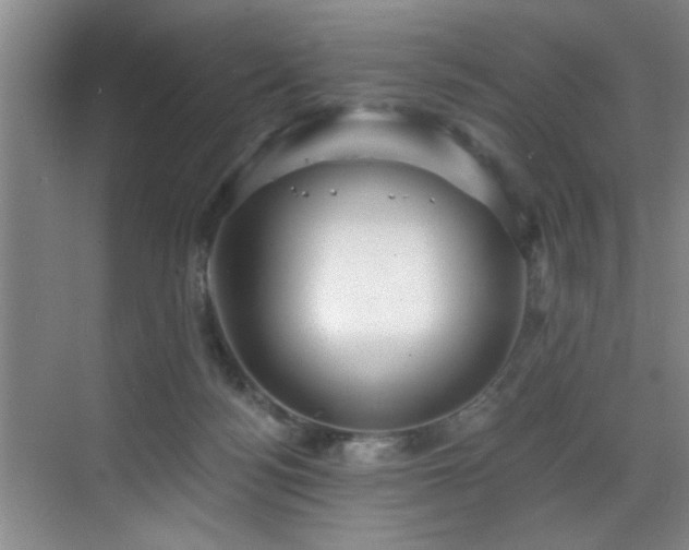 X0000070880172200606161212