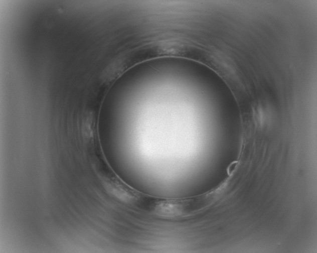 X0000070880174200606161212