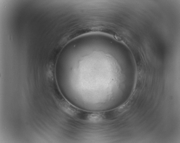 X0000070880175200606161212