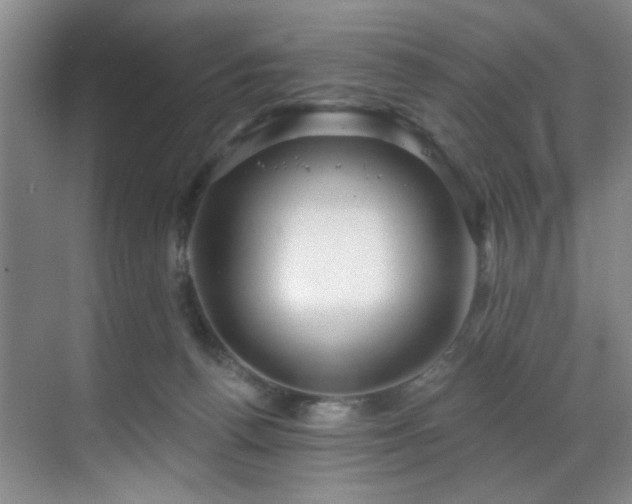 X0000070880176200606161212