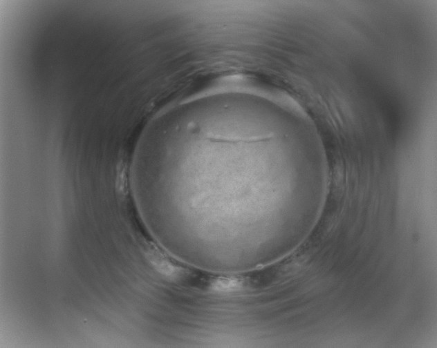 X0000070880177200606161212