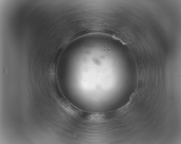 X0000070880179200606161212