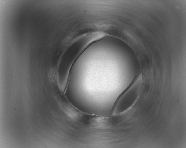 X0000070880184200606161212