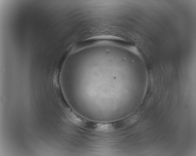 X0000070880185200606161212