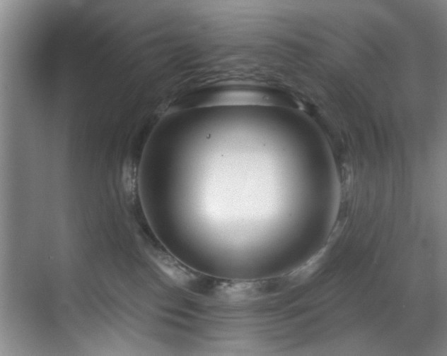 X0000070880186200606161212