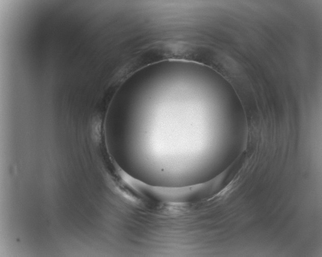 X0000070880188200606161212