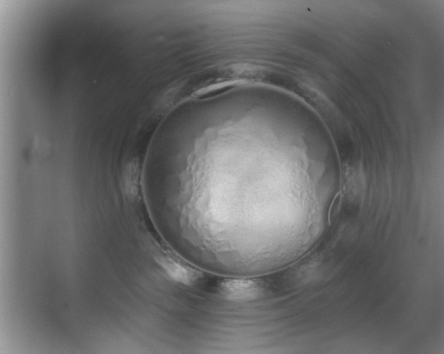 X0000070880189200606161212