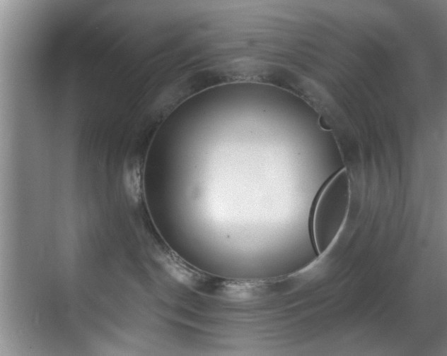 X0000070880190200606161212