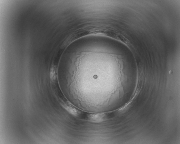 X0000070880191200606161212