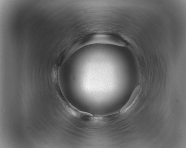 X0000070880192200606161212