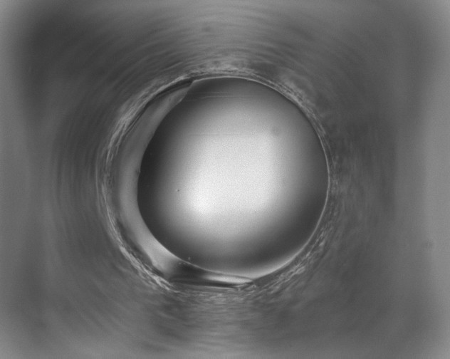 X0000070880193200606161211