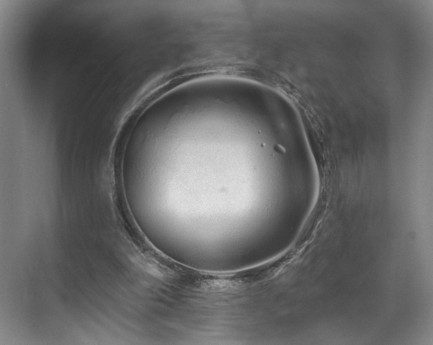 X0000070880198200606161211