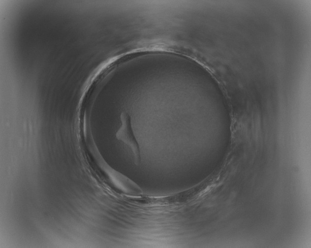 X0000070880200200606161211