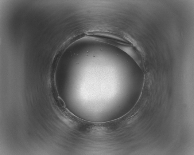 X0000070880203200606161211