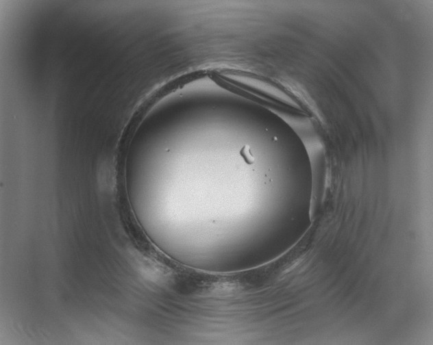 X0000070880204200606161211