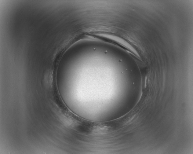 X0000070880206200606161211