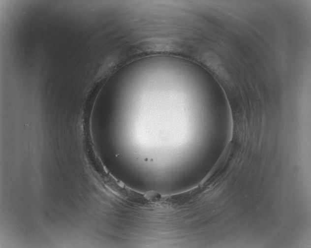 X0000070880207200606161211