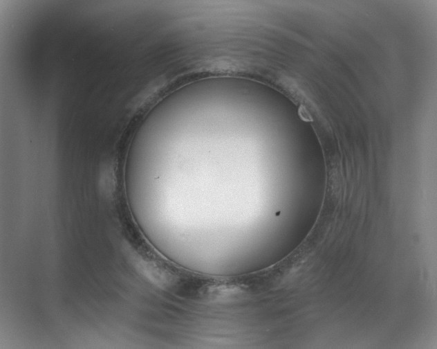 X0000070880208200606161211