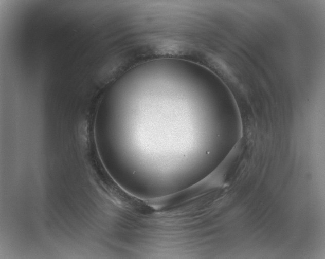 X0000070880211200606161211