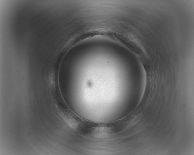 X0000070880212200606161211