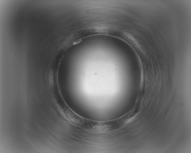 X0000070880213200606161211