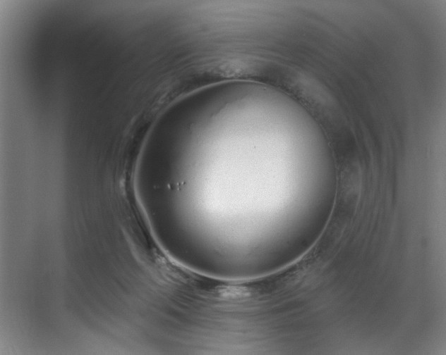 X0000070880214200606161211