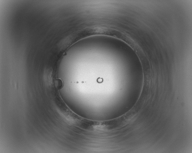 X0000070880216200606161211