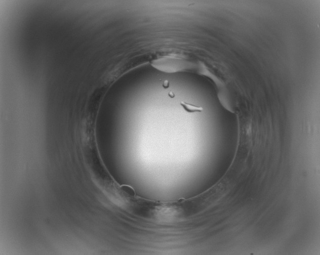 X0000070880218200606161211