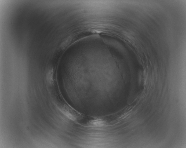 X0000070880219200606161211