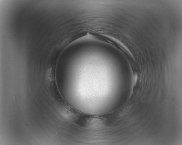 X0000070880224200606161211