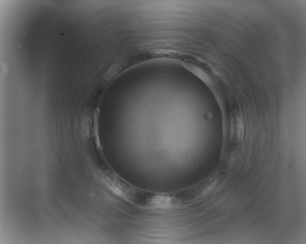 X0000070880227200606161211