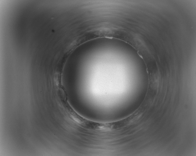 X0000070880232200606161211