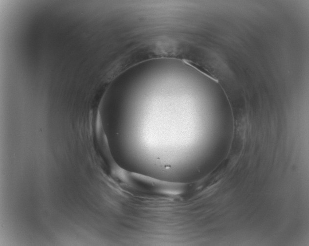 X0000070880233200606161211