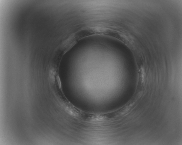 X0000070880235200606161211