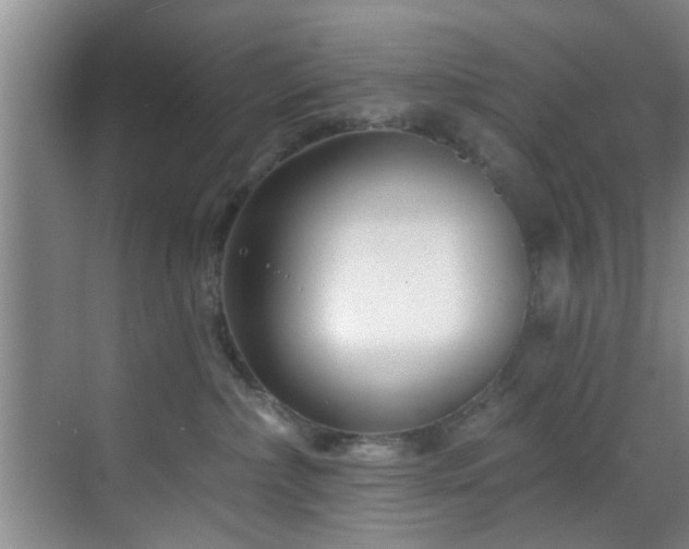 X0000070880236200606161211